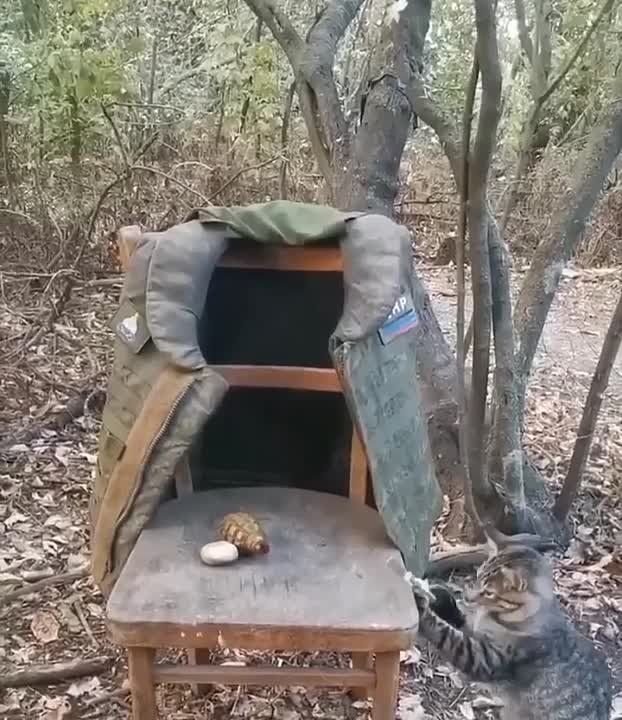 ���������� ������� �����.. ���� � �������� "������" �������� ����������