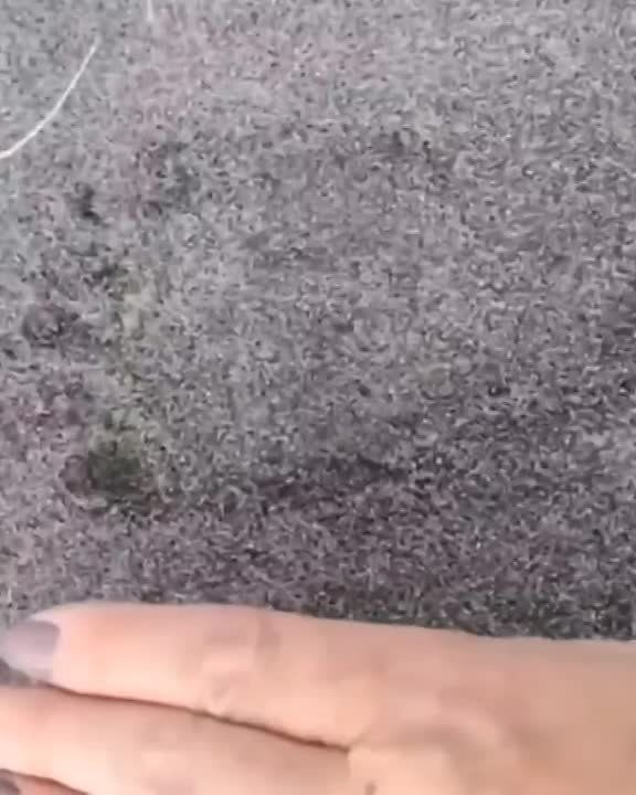 �������� �����: � ��� �������� ���� �������� ��������?