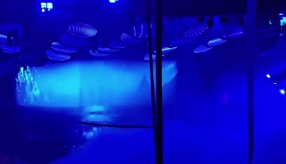 ������ KISS ����� ������ ������������ ����������� �������, ������� ��������� ���� � ����������� ������������
