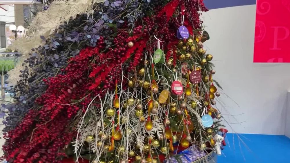 Глава Кабардино-Балкарии Казбек Коков исполнит мечту ребёнка из Запорожской области