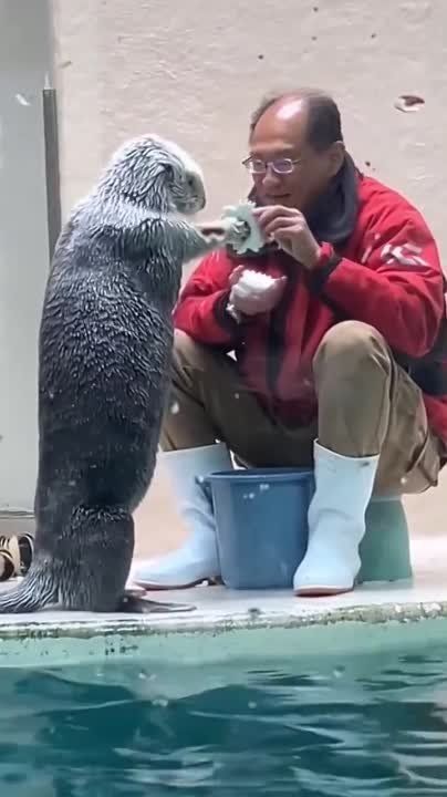 ������� �����. � �������������� ������� ���� ���� ����� ��������� ������� �� ������� ����. ��� ��� ������ ��������� � ���� ������� ����� ��� ���������� �������