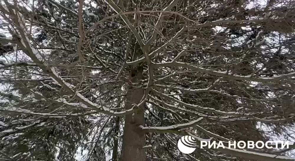 ������� ���������� ���� ������ ������� � ������������ �������