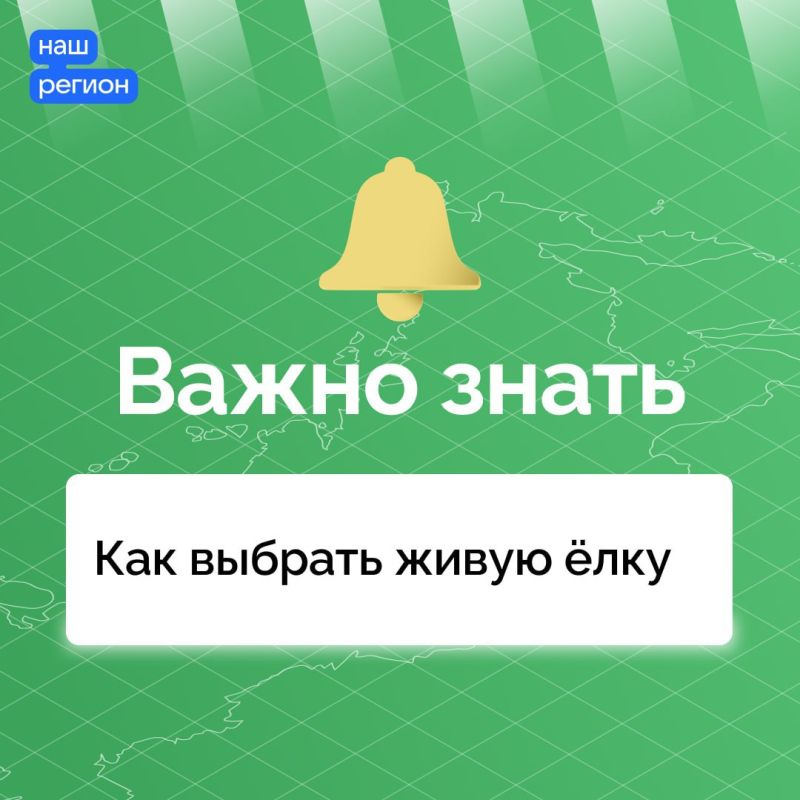 �������� ������������ ��� ������ ���������� ����
