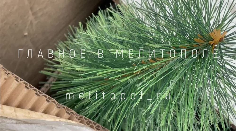 ������� ���������� ���� ���������� ������ ����������� �����