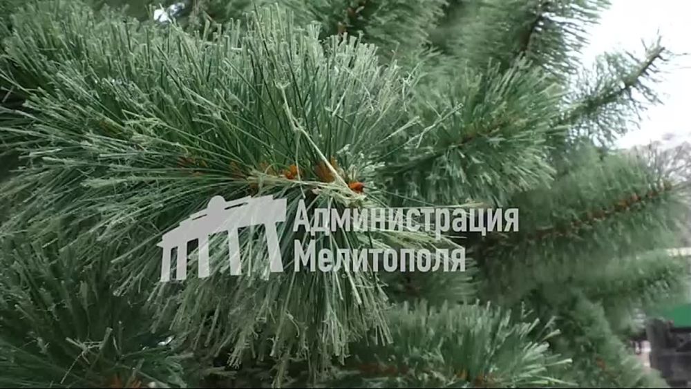 � ���������� ������� ���������� ���� ���������� ����������� ���� ���������