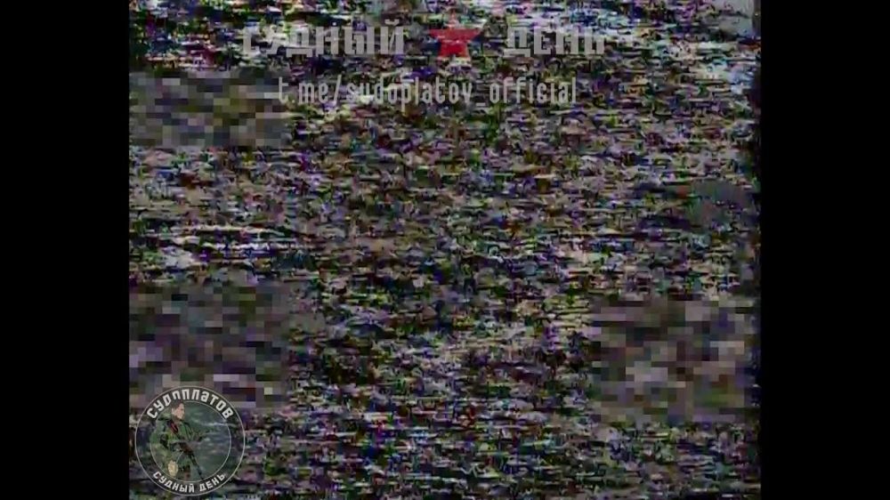 FPV-����� �������� �� ������� ���. ���������� ������ ������� ����������� ������������ �� ����������� �����������