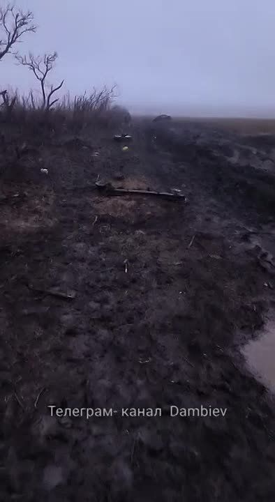 Чингис Дамбиев: Уничтоженный в районе н.п. Работино на Запорожском направлении украинский БТР-3Е