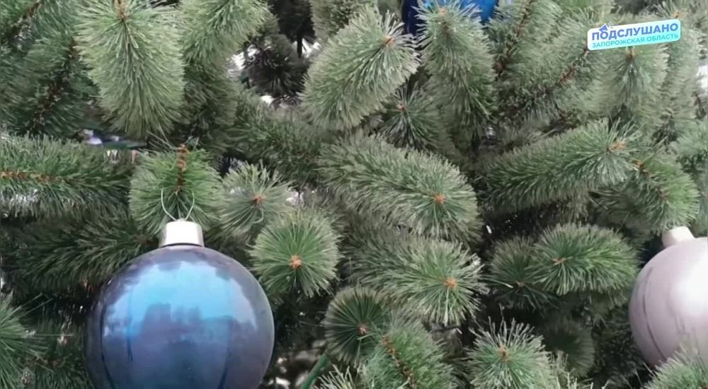 В Мелитополе на площади Победы установили ёлку