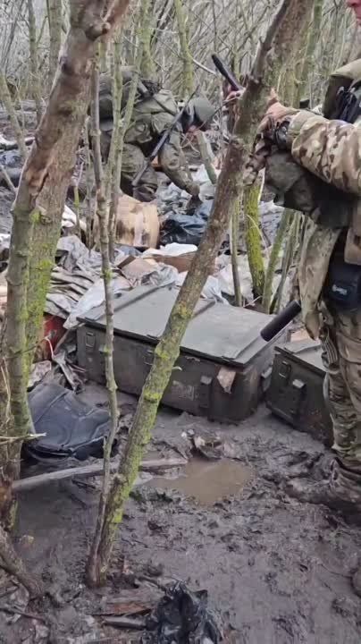 ������� �������: � ��� ���� "���������". ���������� "���������". ����� � ������� "���������" � ������ ��������, ������������� ������ � �������� �����