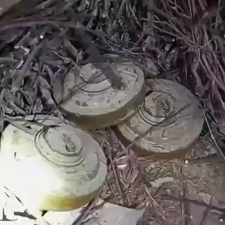 �������� �����: ����������, ���� � ���������� � �� ��������� ���������� ��� ��������� ������