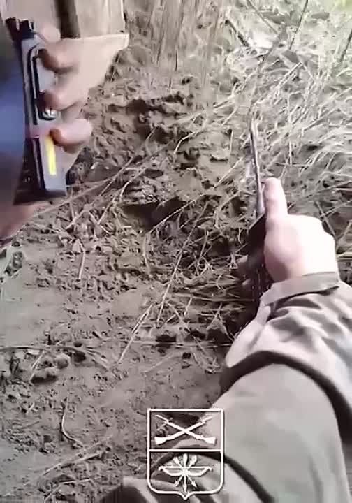 ������� ����������: ������ ������� ������� ������?