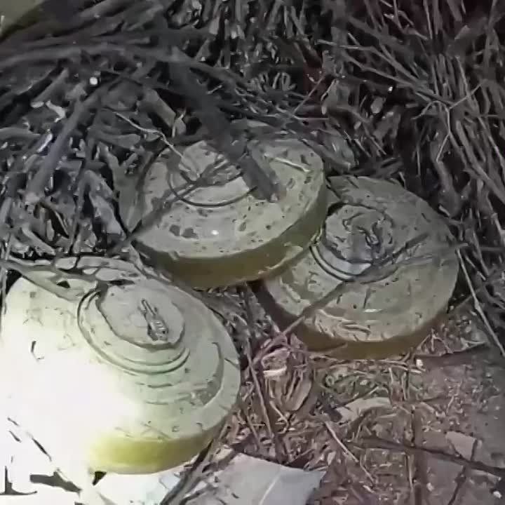 � ��������� ��������������� ������ ���������� ��� ������� � �������