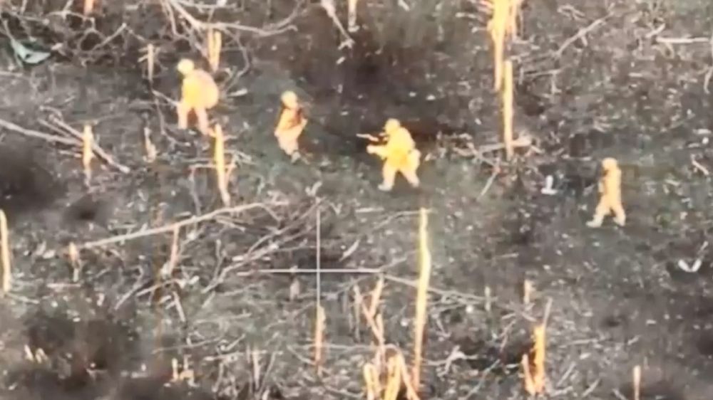 Бойцы ВДВ захватили украинский опорный пункт у села Работино