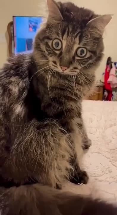 ��� �������? � ����� ��� �������
