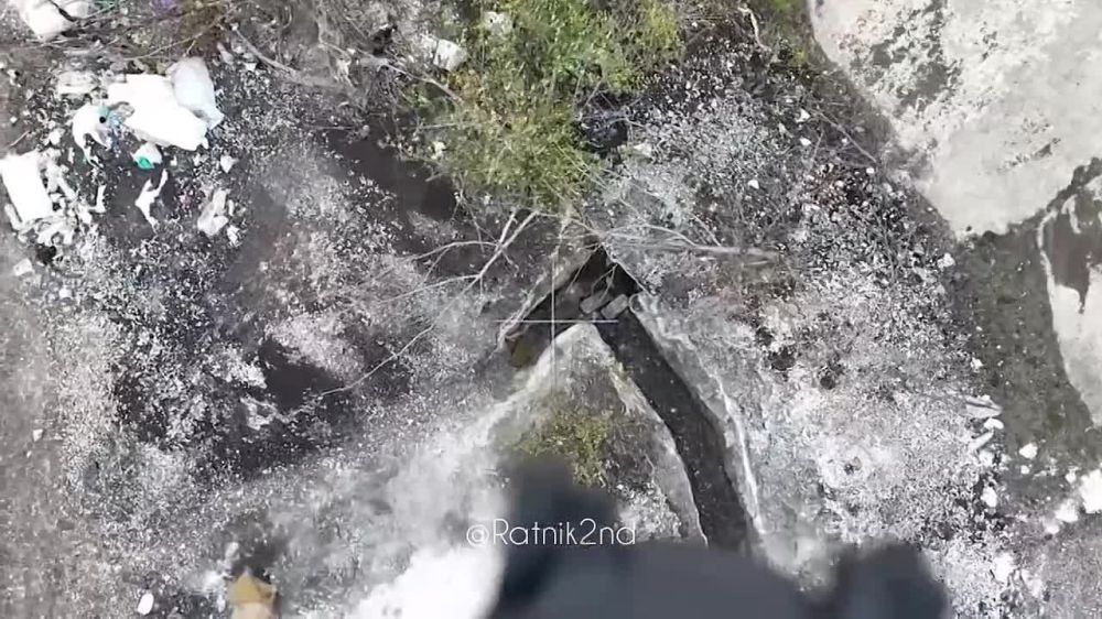 ��� �������� ���� ����� �������� ������������ ����� �� ���