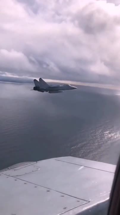 �� ���� �������� ������ ����� ������ ���������� ������ ���-31