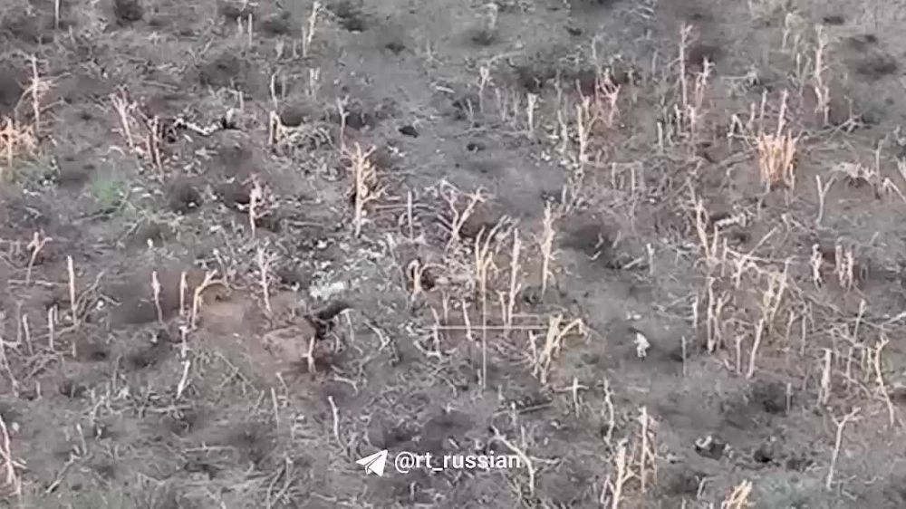 ���������� ���������� ������ � ��������� ������� ����� ��� �� ����������� �����������