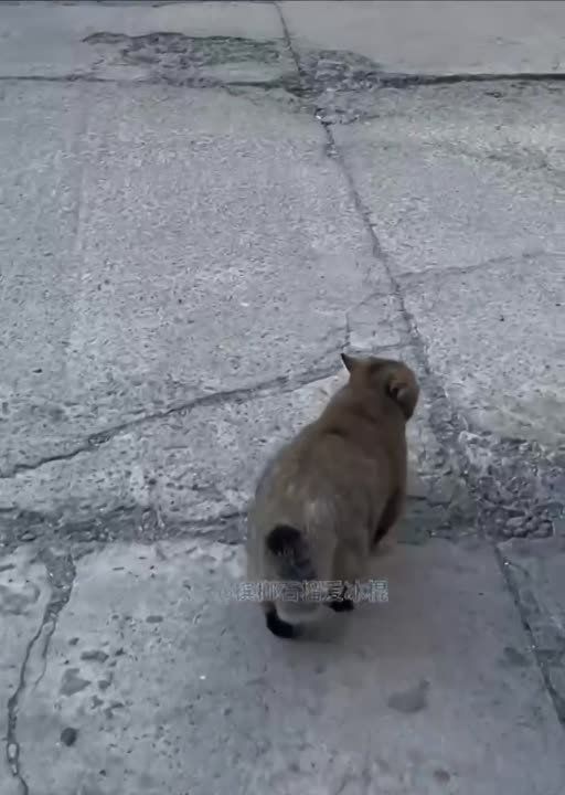 � ��������� �������� ���-��� ���� ���������� ������� ���, ������� �� ��� ���� � ���� ����� � �������� �� ������