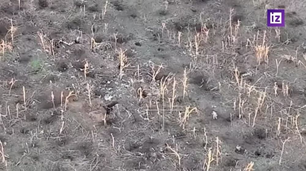 ���������� ���������� ������ ������� ����� ��� �� ����������� �����������
