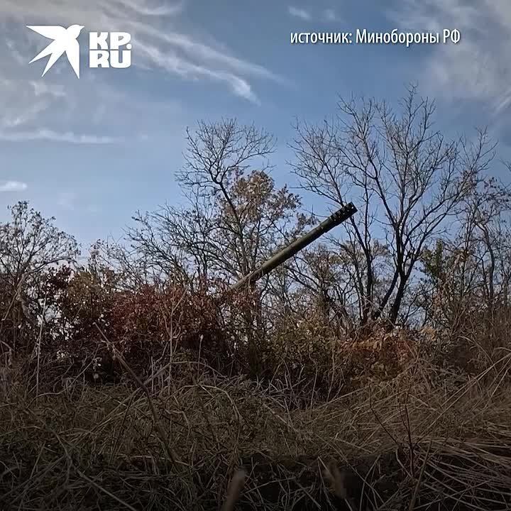 ���������� � ���� ��� �� ����������� ����������� 14 ������� 2023: �� �� ������� ��������� ��� � ������ ��������, ��������� � ����������