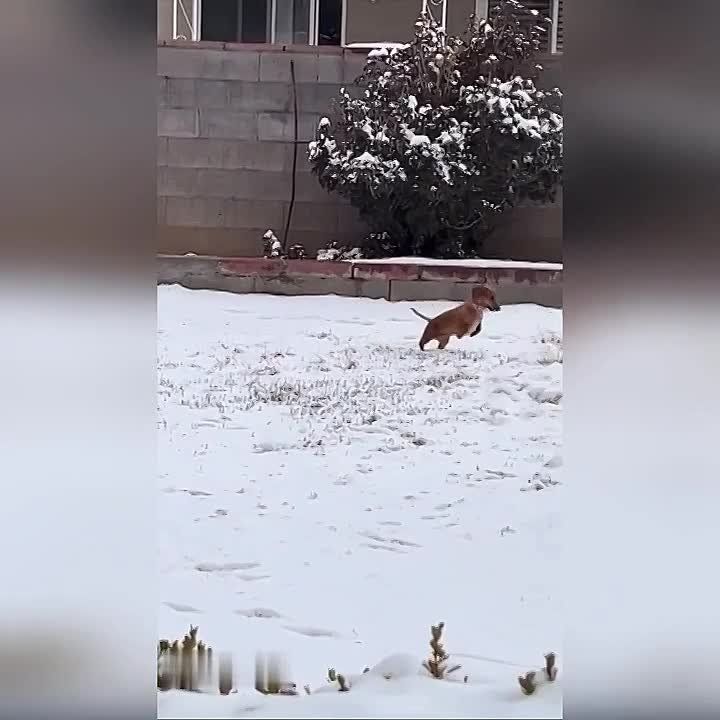 �������, ������!. ����������� ������� ���� � ��������� � ������������ ��������! �������������� ��