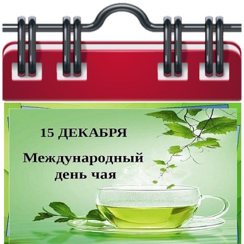 ������� 15 ������� 2023 ����, ������� � ���������� 8 ����������: