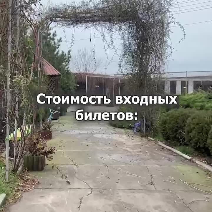 ���������� ����� � ���������� � �������� ������������ ������ 30 ����� �������� � ����, � ��� �����: ������� � ����;