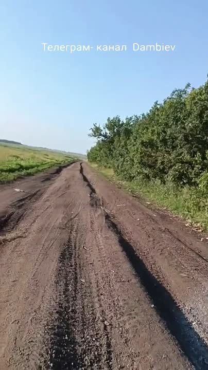 �������� 2023 ����. ����������� �����������. ������������� �� ���� ���������� ��������������� International MaxxPro ������������� ������������