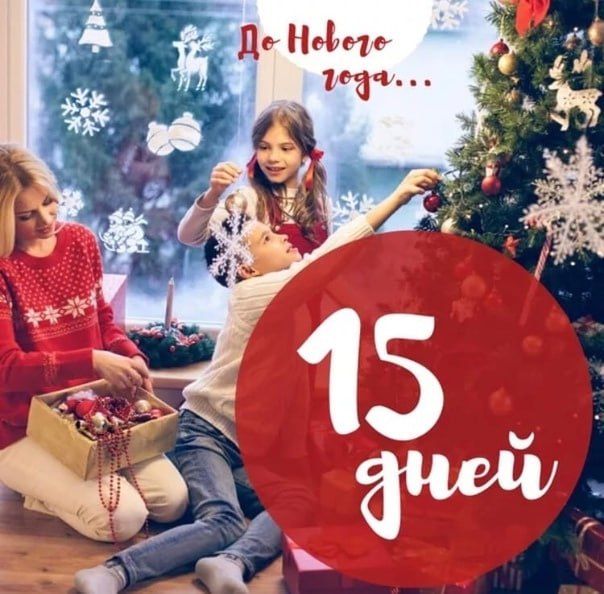 �� ������ ���� - 15 ����