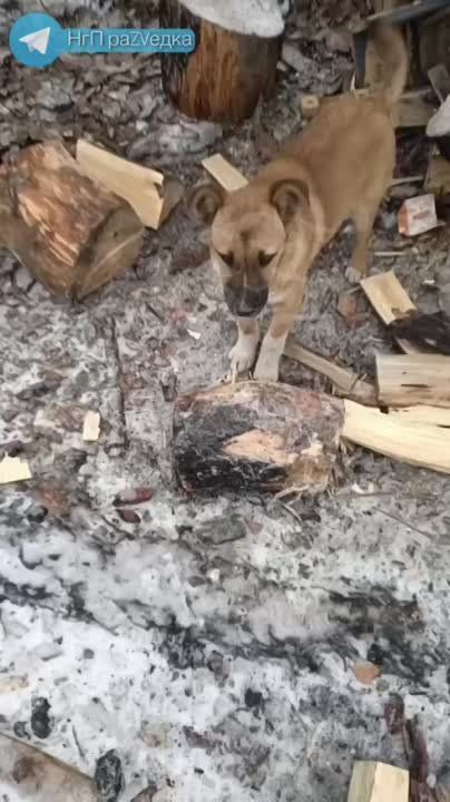 �� � ���, ��� �����������? ������� � �������� ���� ������ ����, � ����� ������ �� ��� ����� �� ������, � ���� ������� ���������, �� ��������, �� ��������, �� ����� ���������