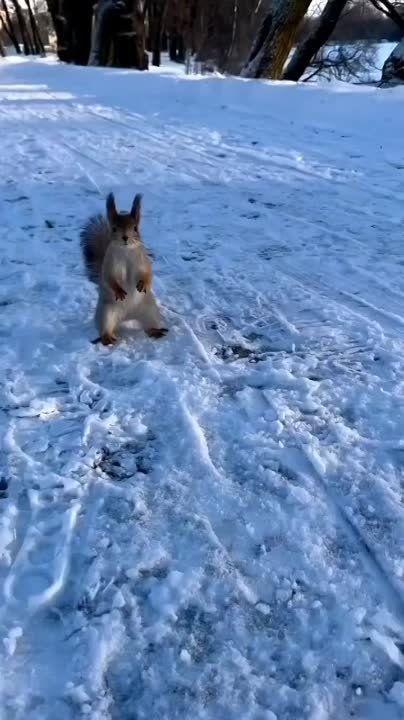 �����. � ����� �������� ��������, � ��� ��������� �� ��������� ����� �������. ��� ��������, ��� �� ����� ��������� �������, �������� �����, ����� ����� � ������� ���������� ������