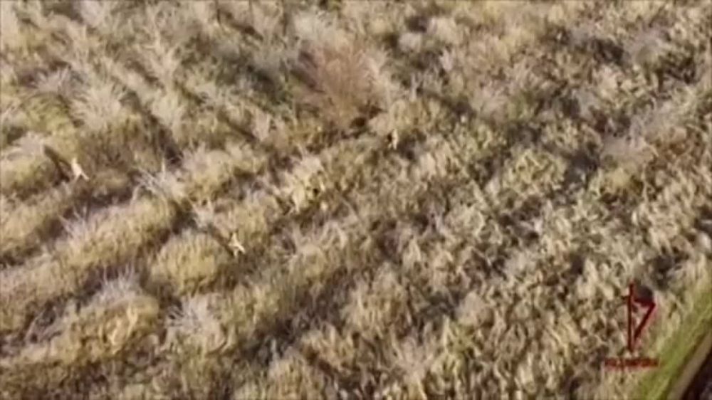 ������� ���������� ����� ����� � ������� � ����������� �������