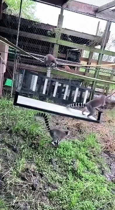 ������. ��� ������� ������ �� ��������� �������� � ����������� � ������ �� ����� �� ����� �� ���������