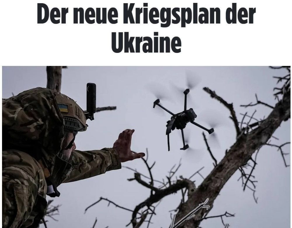 ������� Bild ����������, ��� ���������� ������� ����� ������������ ������� ��������� � �������� ������� ��������� � �� �� ����������