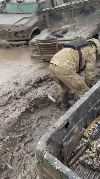 �������� �����: ���������������� ����������� �����