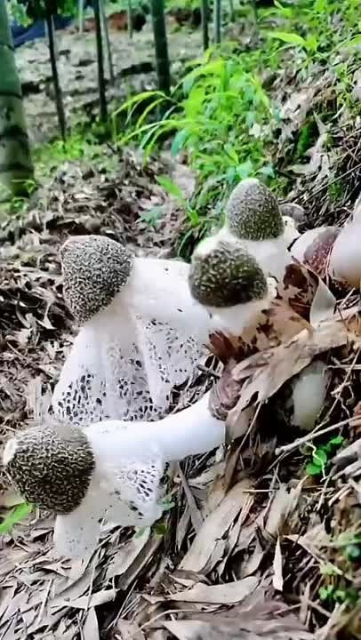 ���� ���������� ���������, ������� ����� �������� ���������� ���� ��� "���� � ������"