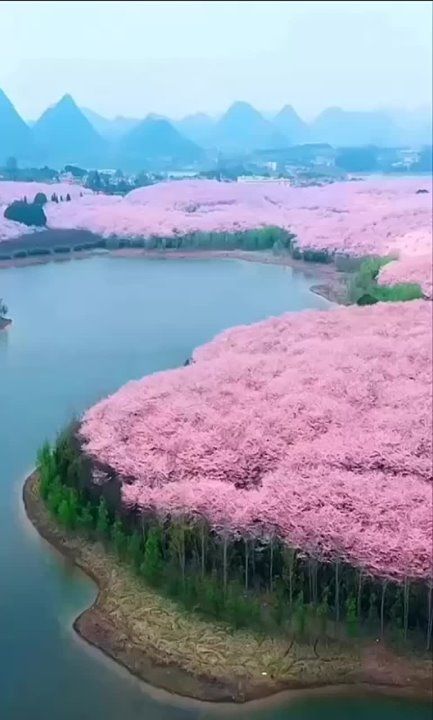 � ��������� ��������� ������� ���� ����� �����, ��� ��������� ����� ������� ��� ������ � ����