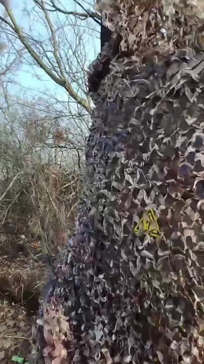 ���������� ������� �� ����������� ����������� ������ �������� ����� �������� ��������������� ����, ������� ��� ������� ���� �������������