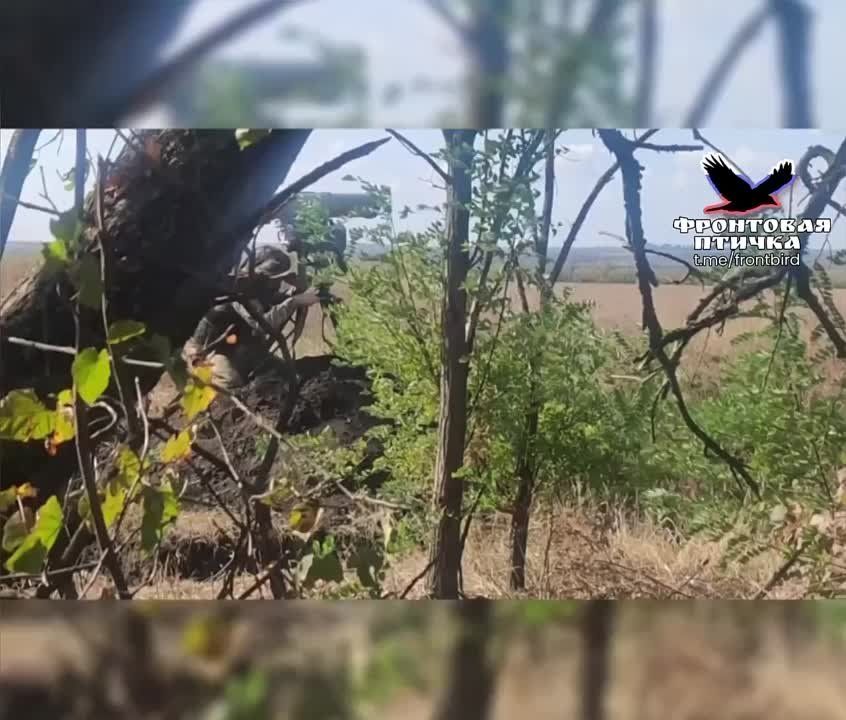 ���������. ����������� �����������. ��������. ����������� ���������� ����� �������� �� ������ ����