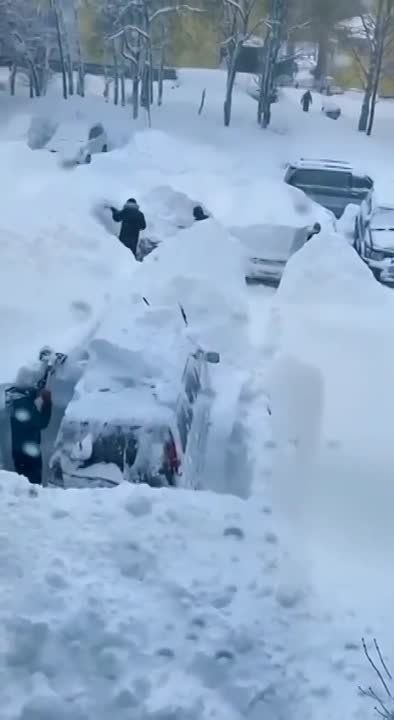 ���� ����-����������. � ������ ��������� �� ����, ������� ���������� ���������� �� ����� ����