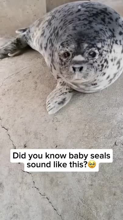 ��������� ������ ����� � ���� � ������ ���������