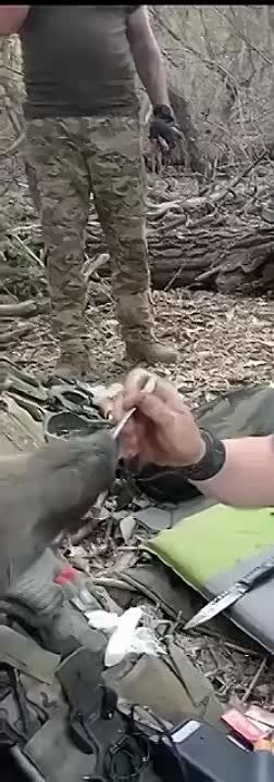 ���������� ����� � ������: �������� �������� ������� ������� �� ���� �� ����� �������