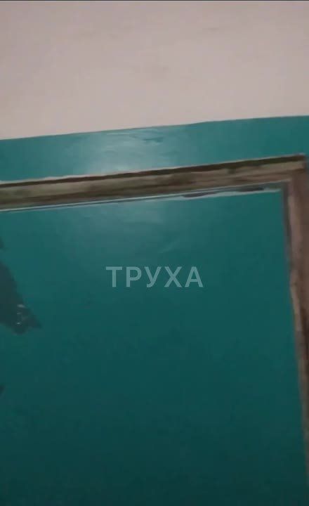 ���������� � ������ �� ������������ ����������� � ����������