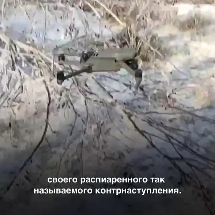 ���������� � ���� �� ������� ������� ������ ����������