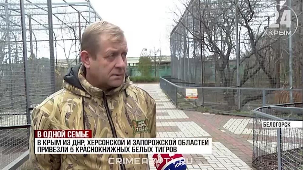 ����� ���: � ���� ���� �� ������������ ������������ �������� �� � ���� �������� 150 ��������