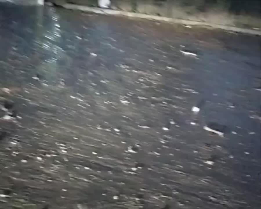 ����� � ����� ������� � �������