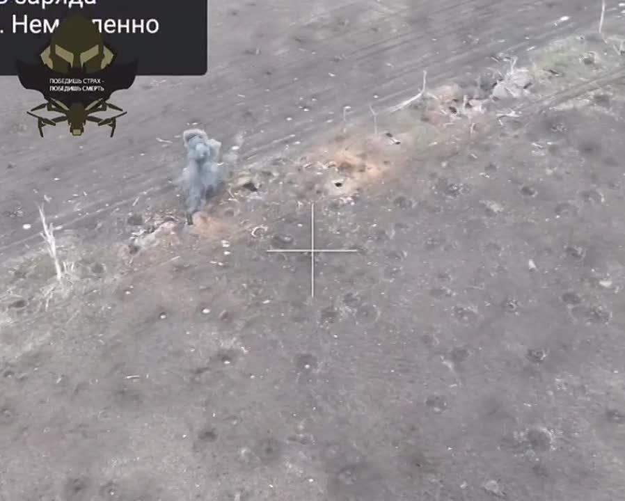 ��������-��������, ���������