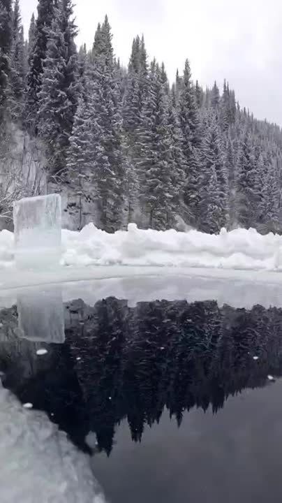 ������� ����� ������� � ����������