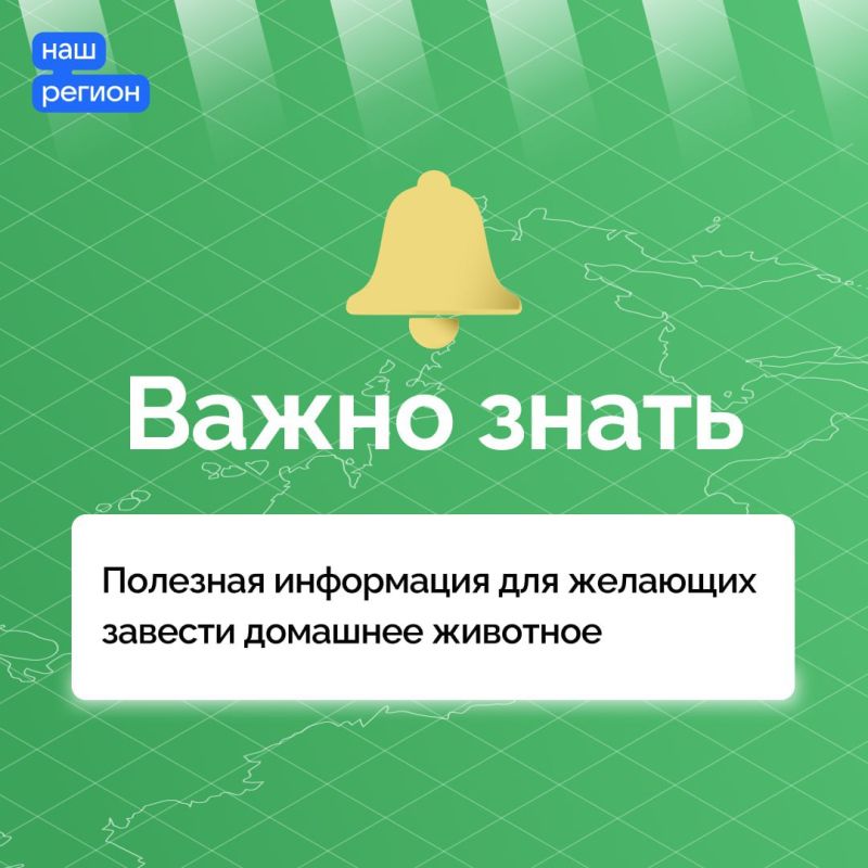 ������� ��� ���������� �������� ��������