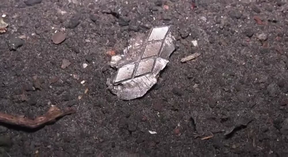 ����� ��������: ���������� ���������� �� �������� �������